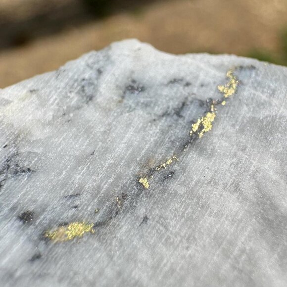 Gold in Quartz - 16 to 1 Mine - Alleghany, California Specimen - 19.5 grams - Picture 1 of 9